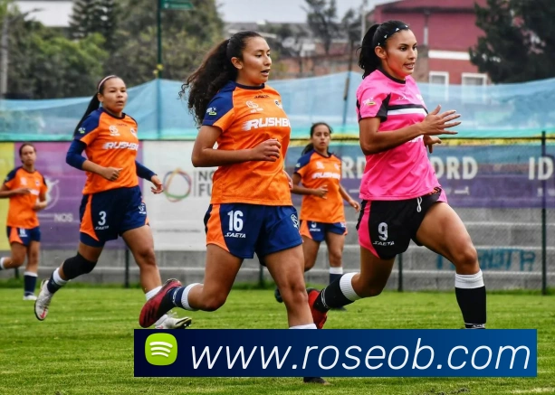 平台展示图